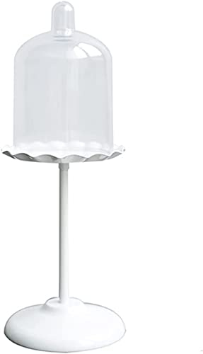 Cake Storage Cake Stand Mini Cake Stand With Acrylic Cover White Dessert Table Wrought Iron White Cake Display Stands Tiered