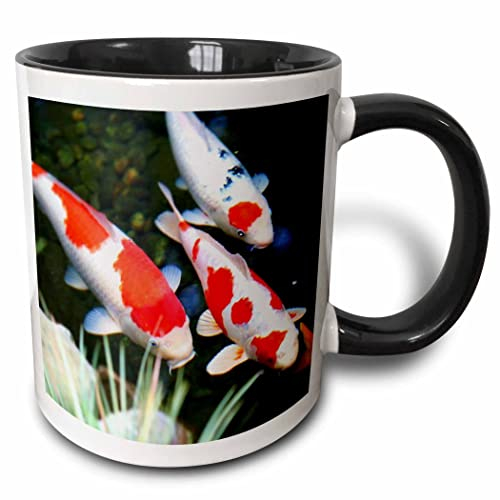 3dRose 62378_4 Tasse, japanisches Orange n White Koi Fish, zweifarbig, Schwarz, 325 ml, mehrfarbig