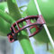 Bato 100 Stück Bio-Tomatenclip/Paprikaclip/Gurkenclip (kompostierbar)