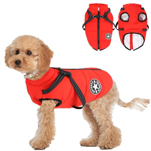 Hundemantel Winter Hunde,Kleine Hunde Hundemantel wasserdichte,Warme Winter Hundejacke mit Geschirr,Warm Hundejacke,Hunde Jacke Winter für Kleine Mittlere Hunde (L)
