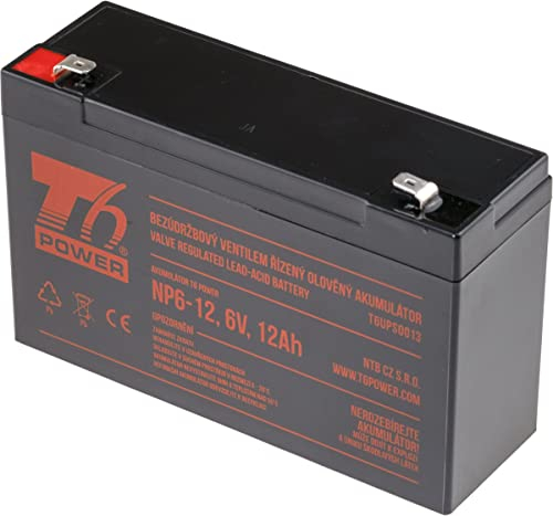 T6 Power Akku NP6-12, 6V, 12Ah