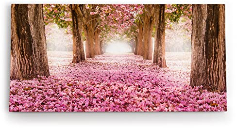 Paul Sinus Wandbild 120x60cm Baumallee Baumblüten Blüten Frühling Allee Rosa