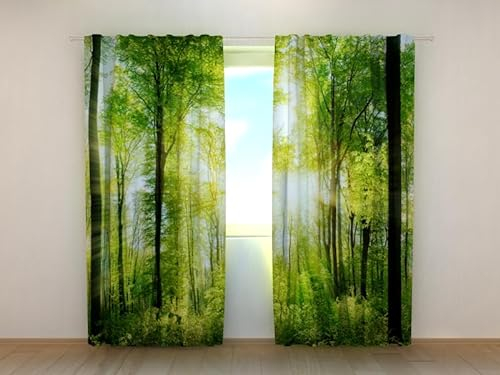 Fotogardine: Lange Sonnenstrahlen im Wald, Vorhang mit Fotodruck, Gardine mit Bildmotiv, Maßanfertigung, Material (Transparent (Chiffon))