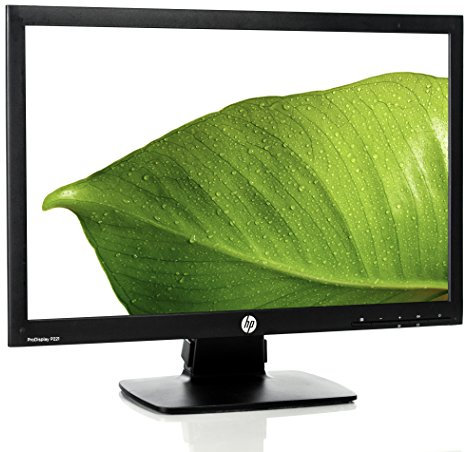 HP ProDisplay P221 - Monitor de 21.5 (con tecnología LED)