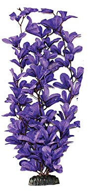 Purple Bleheri Silk Like Plant 20cm by KenKoi