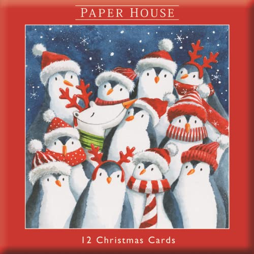 Box of 12 Paper House Festive Penguins Christmas Cards In Same Design Boxed Xmas FRP0004