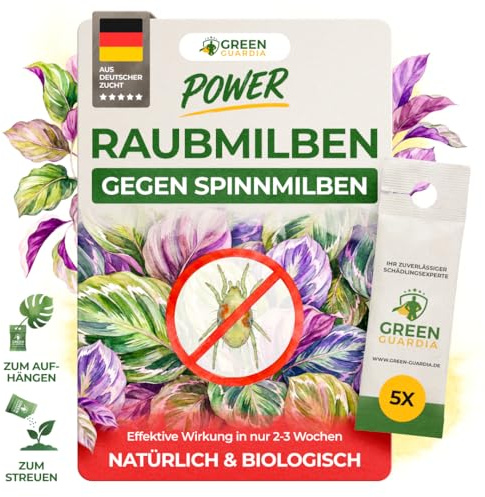 GREEN GUARDIA Power Raubmilben gegen Spinnmilben – 5 Tüten - Biologisches Mittel zur effektiven Spinnmilben Bekämpfung für Zimmer- & Zierpflanzen sowie Cannabis– umweltfreundlich,chemiefreie Mittel