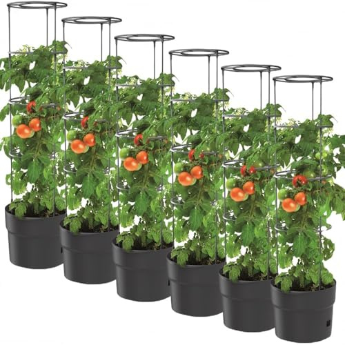 BirnePower 6X Tomatentopf Blumentopf Tomatenkübel 18L Topf für Tomatenpflanzen Tomatenzüchter mit Wasserspeicher Pflanzkübel mit Rankhilfe Rangitter Ø 35 cm H 127 cm