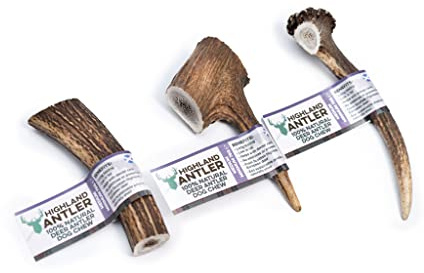 Antos Antler Natural Dog Chew (Size: Medium)Size May Vary
