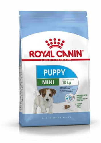 Royal Canin Mini Junior Trockenfutter für Hunde, 2 kg