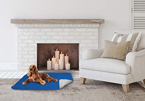 Elegant Cojín para Perros, Azul Royal y Gris Claro, 60x100cm