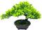 Fycooler Künstliche Pflanzen im Topf,Bonsai Kunstpflanzen Wie Echt, Aesthetic Japanische Bonsai Schreibtisch Pflanzen Künstliche Für Tischdeko Haus Balkon Büro Deko