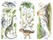 Limeow Wandtattoo Dinosaurier für Kinderzimmer - Dino Poster für Babyzimmer, Wohnzimmer, Küche, Badezimmer, Schlafzimmer, Spielzimmer - Für Junge