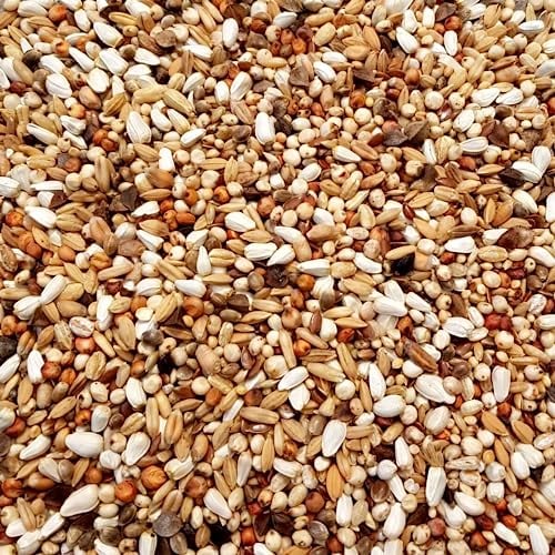 Supravit Super Diät Taubenfutter 5kg ohne Mais für Tauben während der Reisesaison | Futter für Tauben für mehr Kondition | ausgewogene Körnermischung | Vogelfutter alle Tauben-Rassen