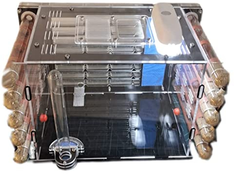 LAVAMI DIY kreatives Ameisenfarm-Set, klassisches Ameisenschloss, Acryl-Reagenzglas, Ameisennest, Ameisenfarm mit großem Jagdbereich, Ameisenhaus, Studio, Ameisennestfarm (Color : Parent, Size : A)