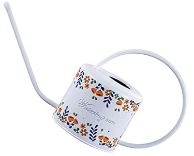 INOOMP Bouilloire à Bec Long Pot de Fleur extérieur Pot d'eau de Fleur décor Floral arrosoir en INOX Bouteille pour arroser Longue Bouche Fournitures de Jardinage Acier Inoxydable Blanche