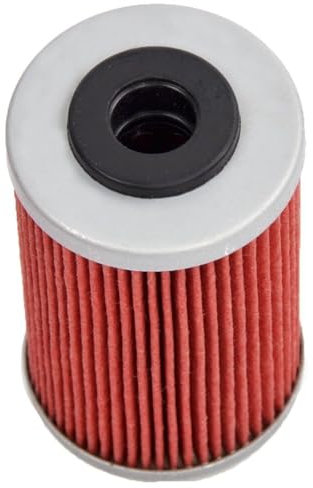 DOFABI Ricambio for motocicletta 390cc Filtro olio in carta incorporato 390, for Duke, RC R 2014 2015 2016 2017 2018 Sostituzione filtro olio moto(BLACK 1pcs)