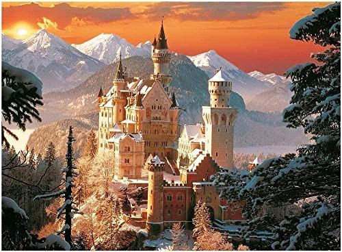 OAOQ DIY 5D Diamant Malerei Kits Malen Nach Zahlen Voll Runde Diamond Painting Kreuzstich Bilder Arts Craft Schloss Neuschwanstein Im Winter Für Home Wand-Decor Oaoq40X50Cm（15,7 X 19,7 Zoll）