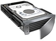 LaCie Biggest S1S Spare Drive 500GB SATA - Disco Duro (500 GB)