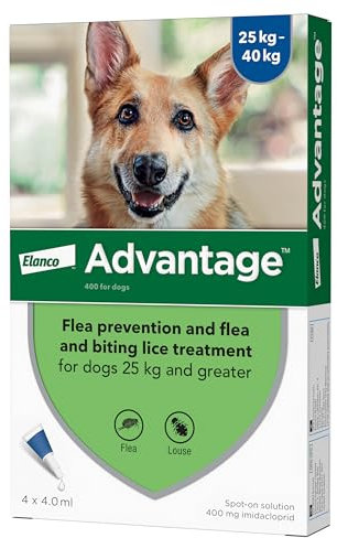 Advantage Spot On Flea Treatment For Extra Large Dogs 25 - 40kg (4 pipettes, 400mg), Kills Fleas Within 24 Hours, Prevents Further Infestation For Up To Four Weeks