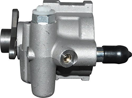 JP Brand 1245101000 Hydraulikpumpe, Lenkung