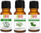 Set Benessere 3 oli essenziali Eucalipto - Timo - Ravintsara 100% Puri Naturali Biologici certificati uso interno - Diffusori Umidificatori Nebulizzatori Aromaterapia - Laborbio