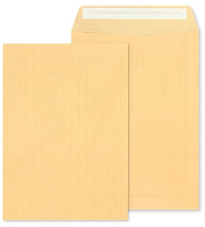RAYLU PAPER - Packung mit großen Kraftpapier-Umschlägen mit Haftklebung zum Versenden von Dokumenten, einfach und schnell versiegelt, 90g/m² stark (Langes Folio, 10 Stück)