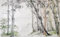 MIWEI Wallpaper Papier Peint Panoramique Foret De Bambou Papier Peints Intissé Decoration Murale Chambre Salon 250x175cm-M224020