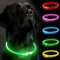 Light Up Dog Collar for The Dark, Dog Collar Light with USB Rechargeable, Led Dog Collar, Adjustable Flashing Puppy Collars with Three Light Modes, Basic Collar (Green)