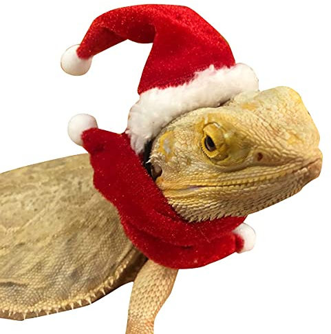 PURRL Reptilien Hut Schal Geschirr Leine Set für Eidechse Bartagamen Gecko, Kleintiere Weihnachtsmütze Schal Rote Leine Geschirr Little Surprise