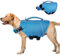 ASENKU Salvagente Cane, Giubbotto Salvagente Cane per Cani di Piccola Taglia Media Grande, Salvagente per Cani con Manico e Riflettente, per Bassotto, Chihuahua, Bulldog Francese, Labrador, ecc. 2XL