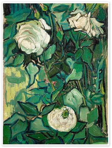 Rosen und ein Käfer Poster von Vincent van Gogh 50 x 70 cm Grün Wandbilder Wanddeko