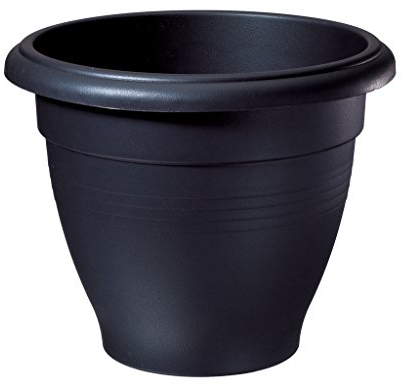 Stewart 2018005V2 50 cm Palladian Planter - Black