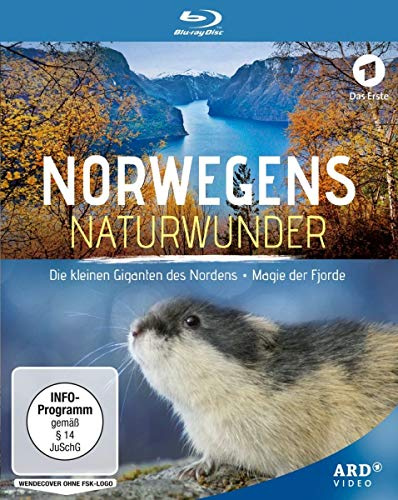 Norwegens Naturwunder: Die kleinen Giganten des Nordens / Magie der Fjorde [Blu-ray]