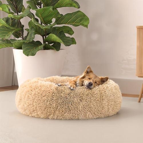 Italian Bed Linen Kuscheliges Hundebett Dreams für Hunde und Katzen, Vanille, 50 x 50 cm
