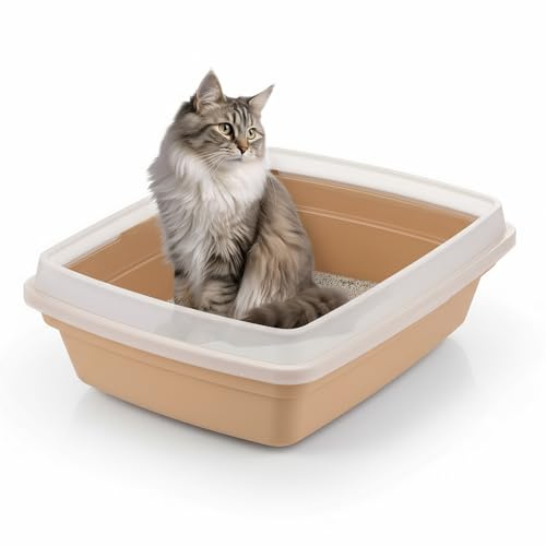 Iris Ohyama, Vasca per lettiera per gatti piccoli, beige, facile da pulire, per la casa, con bordi rimovibili, anti-perdite, per gatti adulti, gattini, senza BPA, apertura in alto, CLH-12S