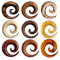 Fly Style Dehnspirale Expander Ohr Piercing aus verschiedene Holzarten, Grösse:8 mm, Modelle:Modell L
