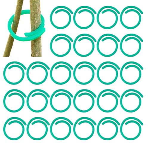 Kidmis Gesicherter Pflanzen Clip, 2025 Neuest Pflanzenclips, Pflanzenklammern klein zur Rankhilfe und Befestigung von Pflanzen, Praktischer Pflanzenstützclip für Tomate Gurken (100, #A)