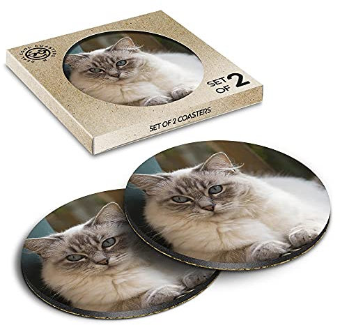 2 x Eco Boxed Cork Coasters - Ragdoll Cat Kitten Cats Cute Drink Cup Mug Glass Table Mat #2285