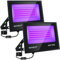 MEEKBOS Schwarzlicht Strahler, 2 Stück 60W LED Schwarzlichtlampe, IP66 Wasserdicht Outdoor UV Fluter Mit Stecker, 385-400NM Flutlicht für Blacklight Party, GLOW, Halloween, Fluoreszierende Malerei