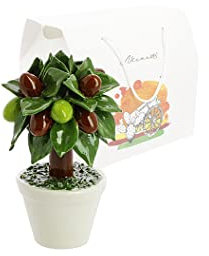 Albero ulivo con vasetto bianco in porcellana nicarè con astuccio tipico siciliano art 504