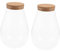TINEASUR Moospflanzenflasche 2er Set Glas Landschaftsflasche Zur Raumdekoration