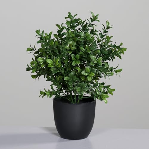 Buchsbaumbusch 28cm im Topf DP Kunstpflanzen künstlicher Buchsbaum künstliche Pflanzen Blumen