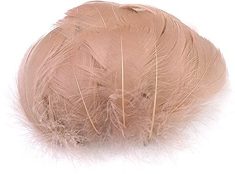 Duories 100 Stück Bunte Feder zum Basteln Naturfedern Gänsefedern Indianer Bastelfedern für DIY Kunstwerk Masken Hüte Ohrringe Haarschmucken Traumfänger Hochzeit Karneval Party Dekoration,5-8cm Khaki