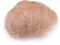 Duories 100 Stück Bunte Feder zum Basteln Naturfedern Gänsefedern Indianer Bastelfedern für DIY Kunstwerk Masken Hüte Ohrringe Haarschmucken Traumfänger Hochzeit Karneval Party Dekoration,5-8cm Khaki
