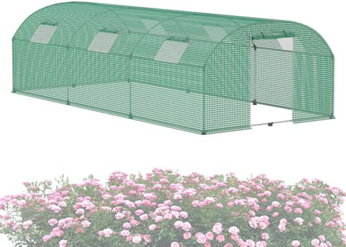 ACXIN Serre de jardin en film 3 x 6 x 2 m - Armature en acier galvanisé - Diamètre : 22 mm - Film PEHD + polyéthylène basse densité avec grille - Fenêtres et portes - Résistant à l'hiver
