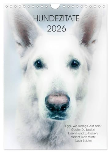 Hundezitate 2026 (Wandkalender 2026 DIN A4 hoch), CALVENDO Monatskalender: Hundeportraits mit Zitaten (CALVENDO Tiere)