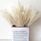 ukiyo 30x Getrocknetes Pampasgras Weiß extra fluffig echte Trockenblumen in umweltfreundlicher Geschenkverpackung, Länge:42-43cm