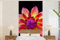 MuchoWow Papier peint Gros plan de la fleur de dahlia multicolore sur un fond noir. Papier peint photo 120x240 cm Papier peint imprimé
