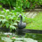 Bussandri Exclusive - Wasserspeier Schwan